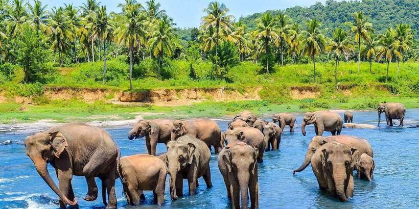 Kandy: City Highlights and Ramboda Waterfall Trip - Starting at 8:00am in Kandy