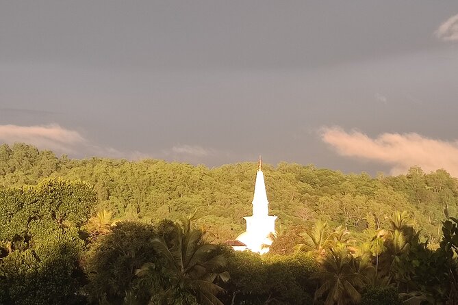 Kandy City Private Tour - Heritage, nature, and local charm