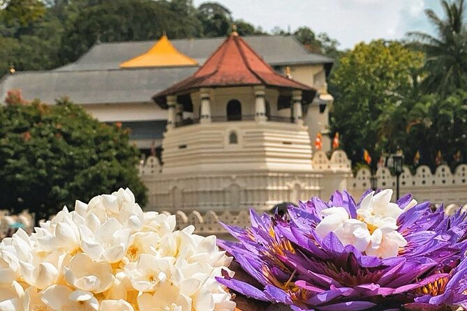 Kandy City Sightseeing and Ambuluwawa Tower by Tuk Tuk Tour - Price, extras, and real value