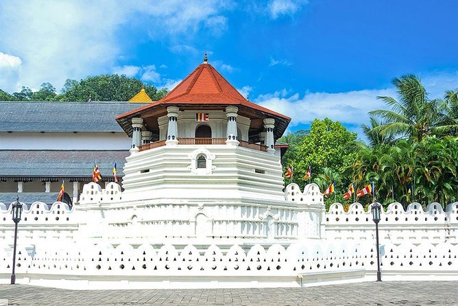 Kandy City Tour by Lux Tours Lanka - Key points to know before booking