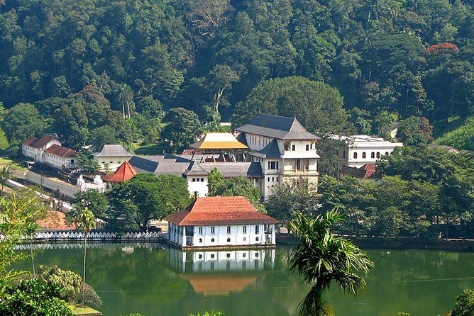 Kandy City Tour by Lux Tours Lanka - What this $7 Kandy tour really offers