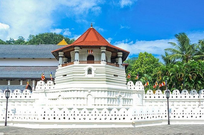 Kandy City Tour by Lux Tours Lanka - Kandy Lake and the Royal Botanical Gardens