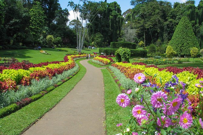 Kandy City Tour from Bentota - Walking among the plants at Peradeniya