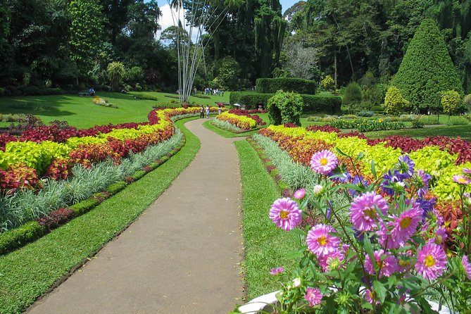 Kandy City Tour from Colombo - Temple of the Tooth: the day’s essential visit