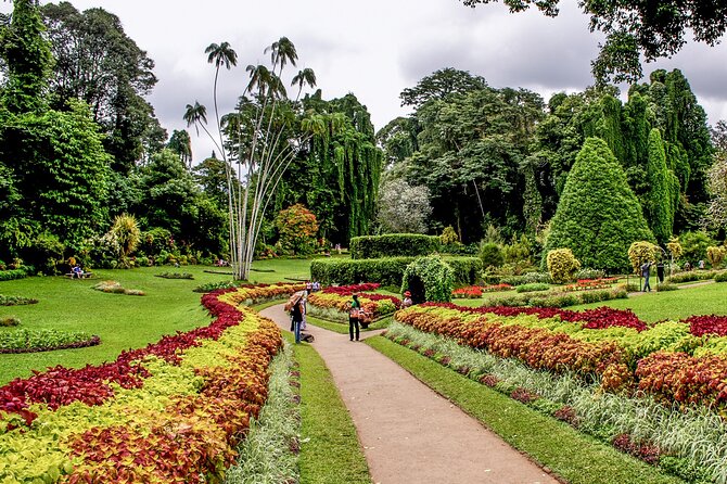 Kandy City Tour from Colombo - What the $100 price really covers