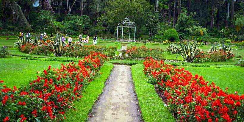 Kandy City Tour With Ambuluwawa Tower - Plants and the Biodiversity Complex