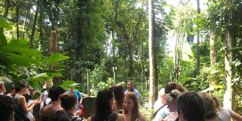Kandy City Tour With Ambuluwawa Tower - Royal Botanical Gardens and the Big Buddha