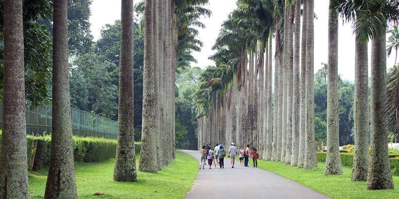 Kandy City Tour With Ambuluwawa Tower - The tuk-tuk ride to Ambuluwawa Mountain