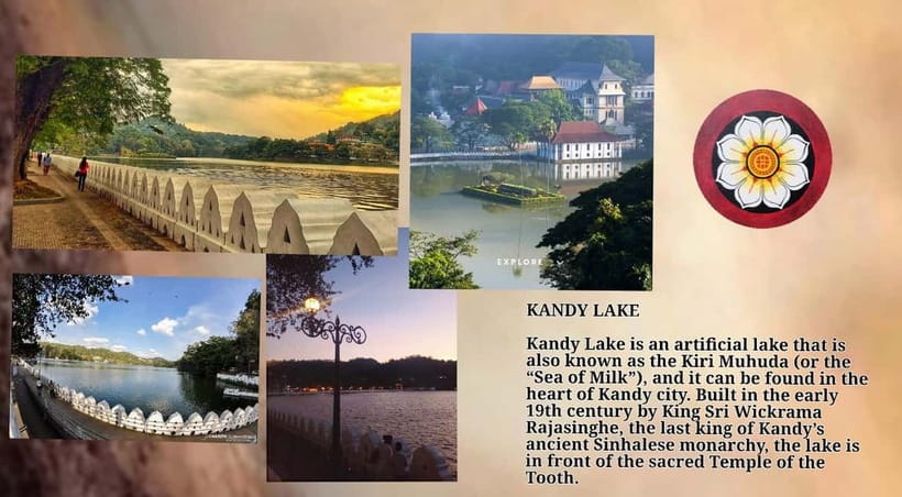 Kandy: City Tour with Temple of the Tooth & Tea Garden - Why this Kandy outing works