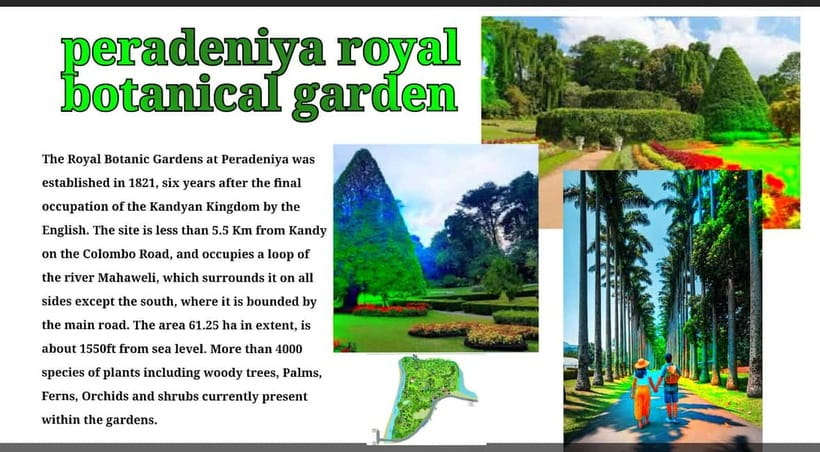 Kandy: City Tour with Temple of the Tooth & Tea Garden - Royal gardens and Kandy’s changing architecture