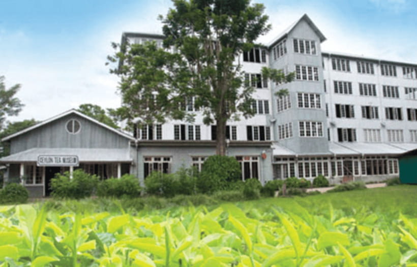 Kandy Cultural Tour from Colombo–Entry Fees & Lunch Included - Why this Kandy day trip works from Colombo