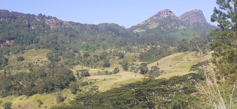 Kandy : Dambulla Sigiriya Private Guide Tuk Tuk Tour - Nalanda Gedige and the middle of the route
