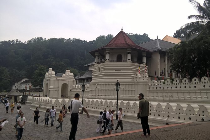 Kandy Day Tour From Colombo - The Temple of the Tooth, Kandy’s central experience