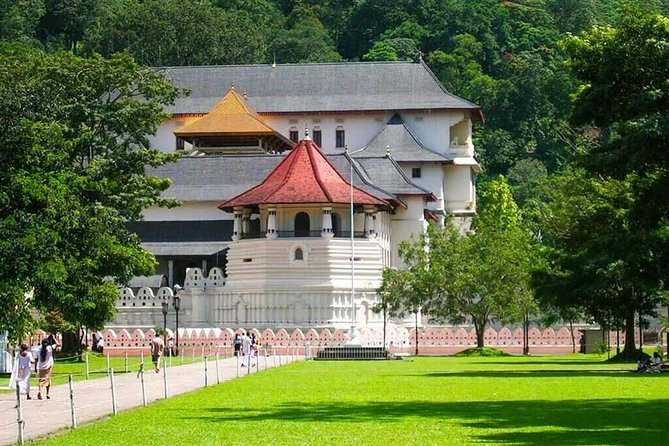 Kandy Day Tour From Colombo - Geragama Tea Factory and the Ceylon tea story