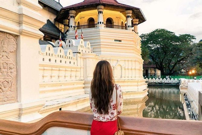 Kandy Day Tour From Colombo - Elephant stops and other optional additions