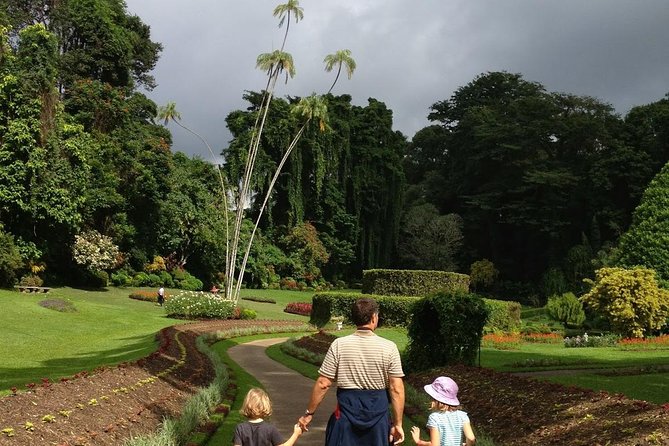 Kandy Day Tour From Colombo - What $55 really buys you