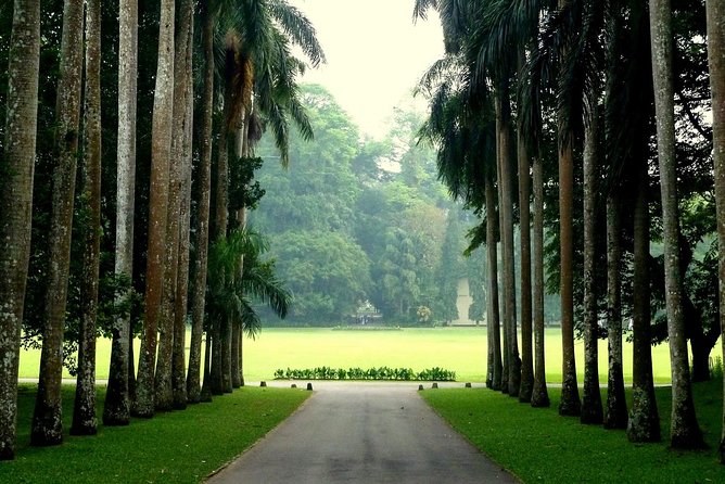 Kandy Day Tour - A practical look at the 12-hour schedule