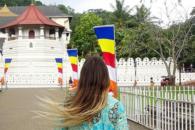 Kandy Day Trip: Colombo, Negombo, Bentota and Kalutara - What the $70 Kandy day trip really offers