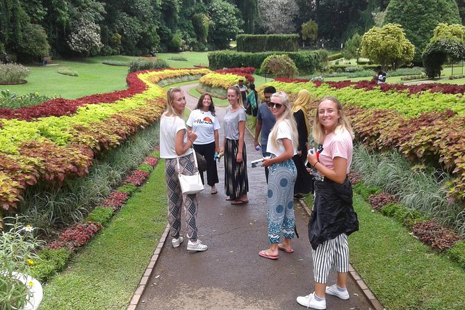 Kandy Day Trip from Colombo: Tea Factory- Peradeniya Botanical Gardens-Kandy - Why this Colombo to Kandy trip makes sense