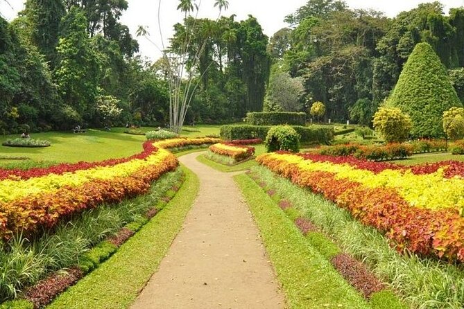Kandy Day trip from Kalutara Beruwala Bentota Aluthgama Wadduwa - Why this private Kandy trip makes sense