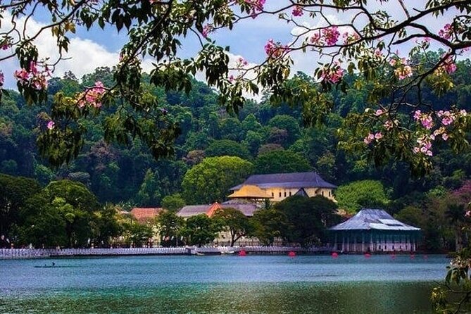 Kandy Day trip from Kalutara Beruwala Bentota Aluthgama Wadduwa - Walking beside Kandy Lake