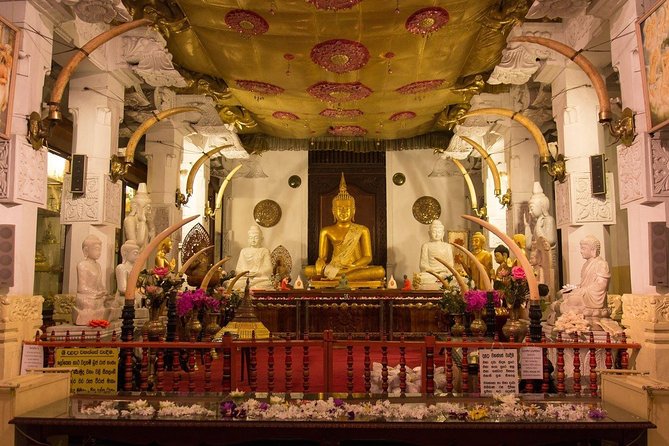 Kandy Day Trip with Tooth Relic Temple & Unique Attractions - The early road to Kandy