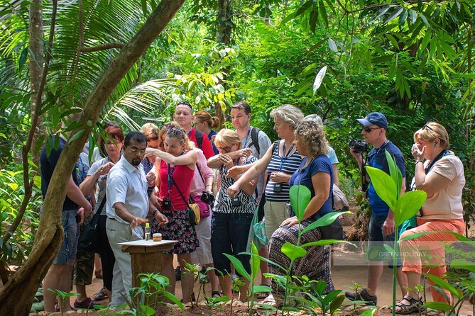 Kandy Day Trip with Tooth Relic Temple & Unique Attractions - Who should book this Kandy day trip?