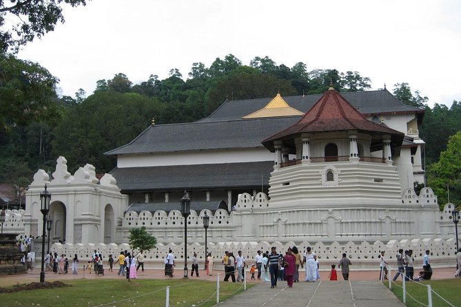 Kandy Day Trip with Tooth Relic Temple & Unique Attractions - Kadugannawa Tea Factory: a 30-minute look at production
