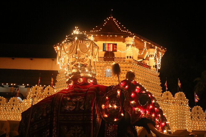 Kandy Full-Day Tour - Why this Colombo to Kandy day trip works