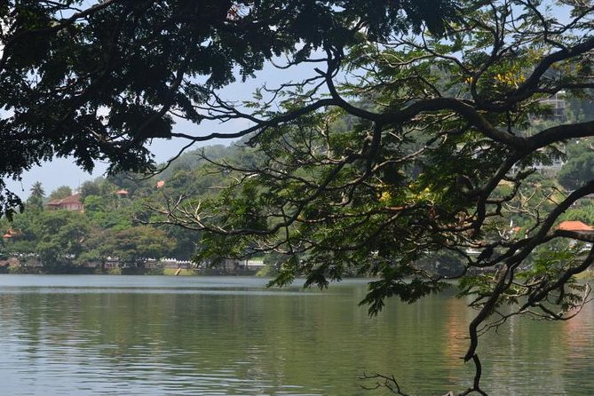 Kandy Full-Day Tour - Kandy Lake and the city viewpoint