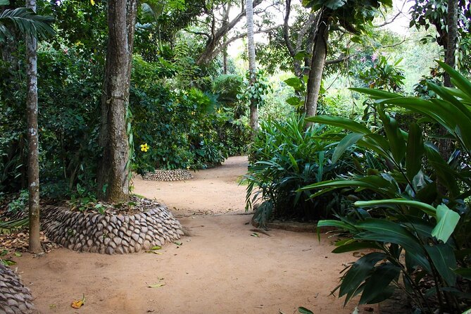 Kandy Full-Day Tour - Your driver-guide can shape the whole day
