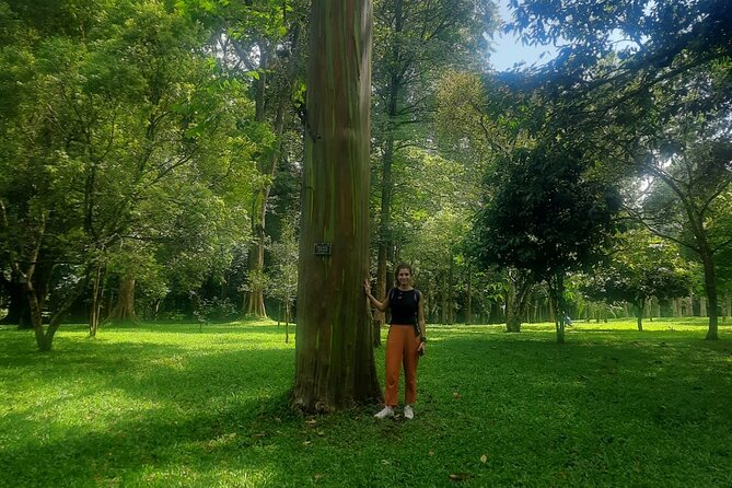 Kandy Full Day Tour from Colombo and Negombo and CMB Airport - Why this Kandy day trip works from Colombo
