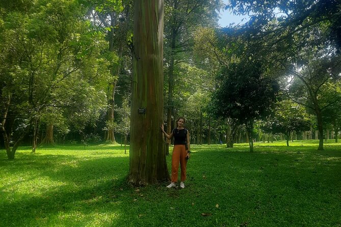 Kandy Full Day Tour from Colombo and Negombo and CMB Airport - Susantha Spice and Herbal Garden