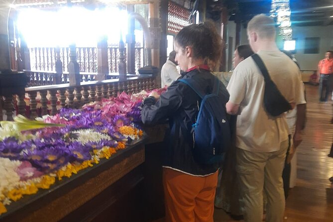 Kandy Full Day Tour from Colombo and Negombo and CMB Airport - New Giragama Tea Factory near Kandy