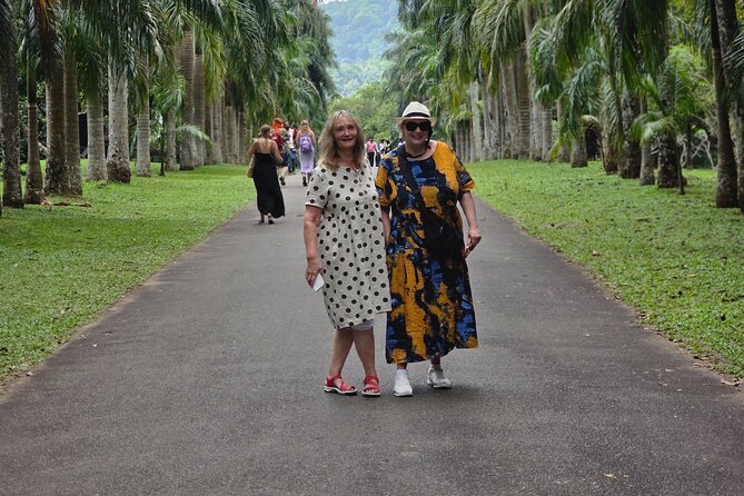 Kandy Full Day Tour Private All Inclusive - Millennium Elephant Foundation: Care, Contact, and Choice