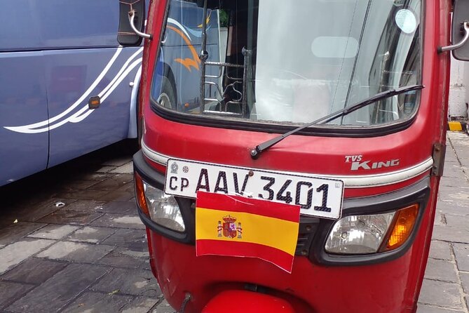 Kandy Heritage City Tour by tuktuk - Ninety minutes at Peradeniya’s Royal Botanic Gardens