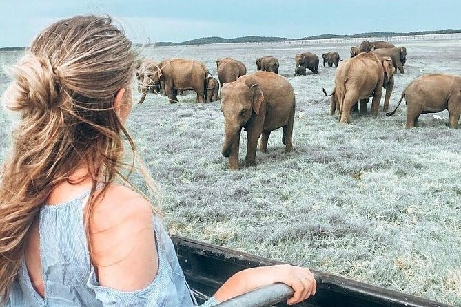 Kandy - Minneriya National park & Sigiriya Rock by tuk tuk tours - Key points to know before you book