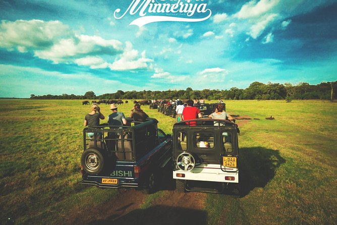 Kandy - Minneriya National park & Sigiriya Rock by tuk tuk tours - The real price: $41.67 plus admission