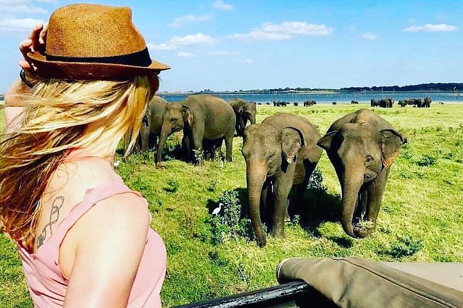 Kandy - Minneriya National park & Sigiriya Rock by tuk tuk tours - What to pack for this particular day