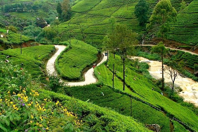 Kandy & Nuwara Eliya | 2 Days Tour - What the $170 private price really buys you