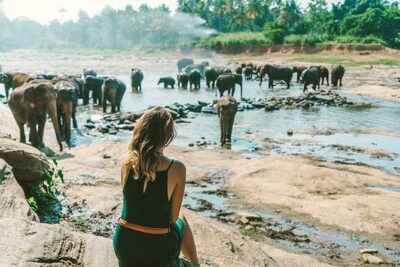 Kandy & Nuwara Eliya | 2 Days Tour