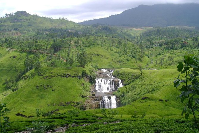 Kandy & Nuwara Eliya | 2 Days Tour - Kandy’s evening dance performance