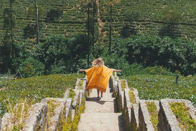 Kandy & Nuwara Eliya | 2 Days Tour - The climb into tea country on day two