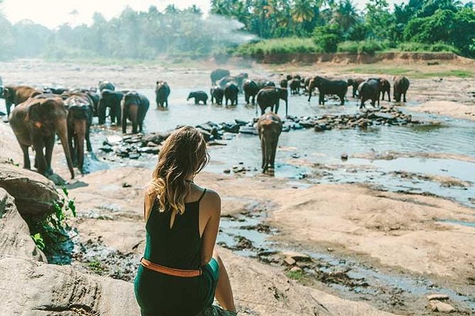 Kandy & Nuwara Eliya | 2 Days Tour - Starting from Colombo or the airport