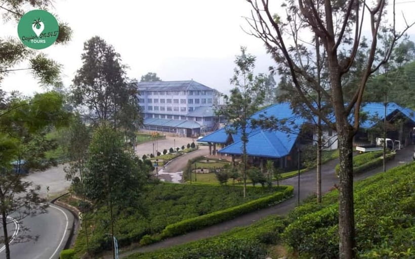Kandy: Nuwara Eliya Day Explore by Tuk tuk with Local Guide - Key points to know before you book