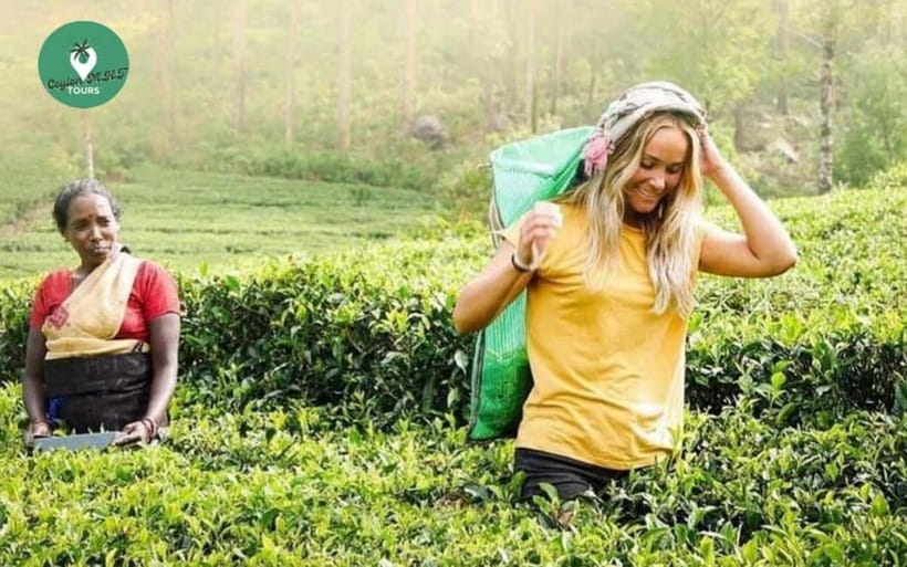 Kandy: Nuwara Eliya Day Explore by Tuk tuk with Local Guide - Blue Field Tea Factory and the taste of Ceylon tea