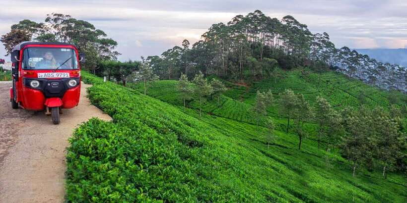 Kandy: Nuwara Eliya Day Trip - Wood carving and the hands-on side of Sri Lanka