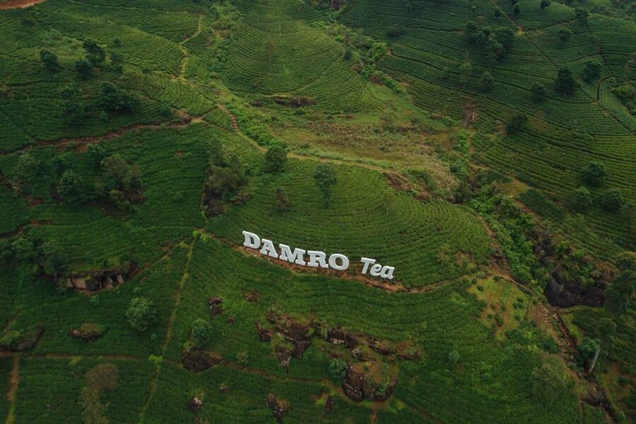 Kandy: Nuwara Eliya Day Trip - Tea country, from green rows to factory machinery