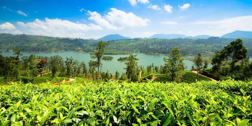 Kandy: Nuwara Eliya Day Trip - Seetha Amman Temple and Hakgala Botanical Garden