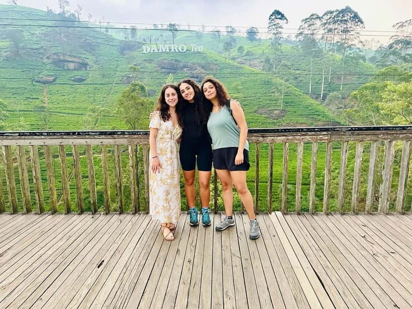 Kandy & Pinnawala Day Tour From Colombo or Negombo - Key points at a glance